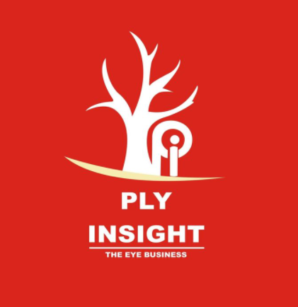 PlyInsight