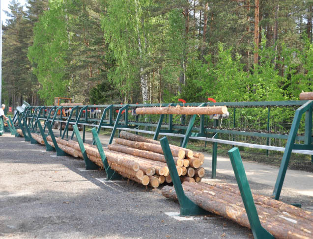 Timber volume grow at Riga