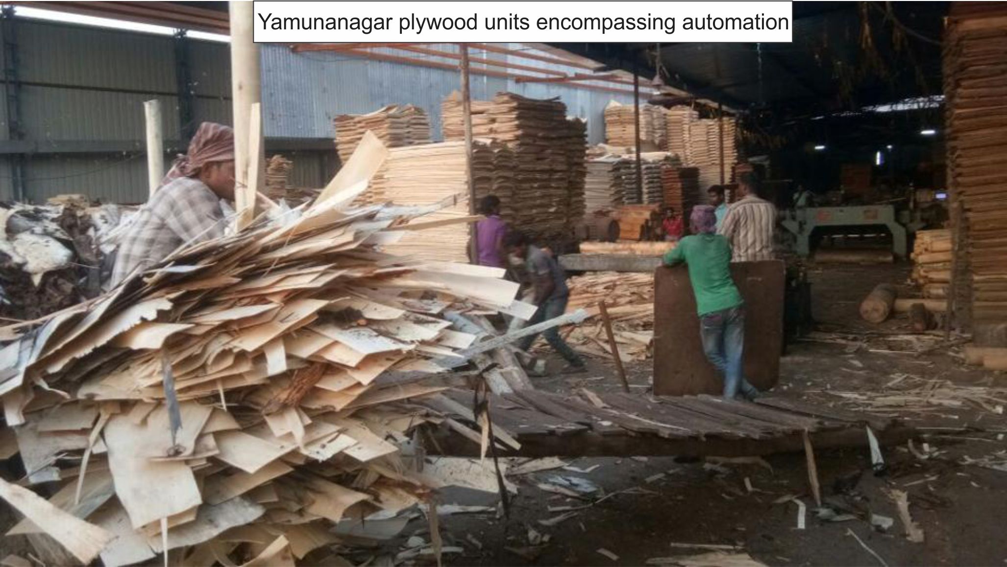 Yamunanagar plywood units encompassing automation