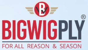 BigWig Ply logo