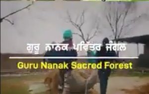 Guru Nanak Sacred Forest