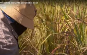 Thailand Turning Straw into gold