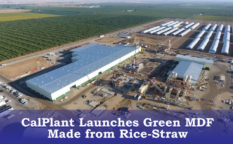 Calplant Launches green