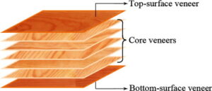 Effects of core veneer thickness variation in plywood - Dr. SK Nath