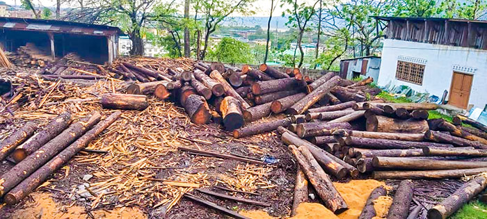 Registration of existing wood-based industries by Bihar government