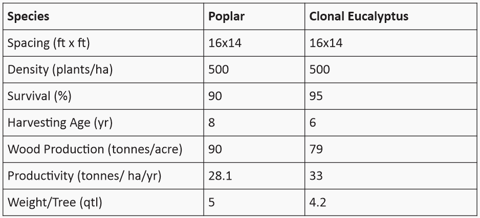 Farming of Clonal Eucalyptus in Alkaline Soils