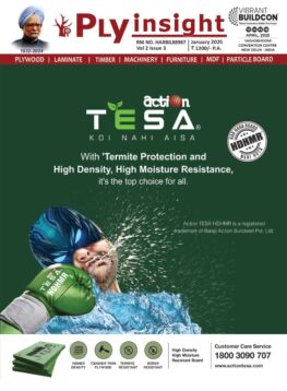 Action Tesa Buildwell Pvt. Ltd.