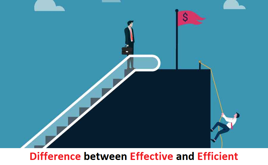 Difference between Effective and Efficient