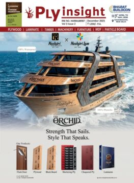 December Issue 2025